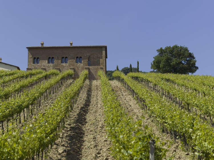 overlooking from the vineyard Locanda Palazzone Orvieto Umbria best boutique Hotel