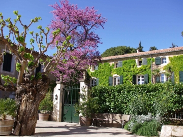 Domaine Saint Hilaire - Casa de férias in Pézenas, Languedoc-Roussillon