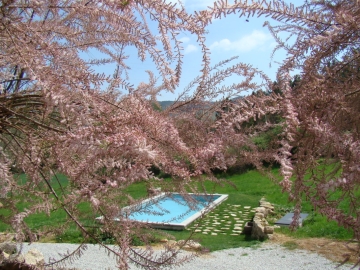 Quinta de Seves - Hotel Rural in Ferro-Covilhã, Beiras e Costa Central