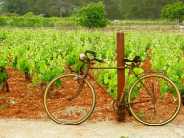 Agroturismo Sa Vinya den Palerm - Hotel Rural in San Miguel, Ibiza