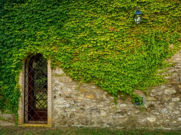 Appartamenti Ginestriccio - Apartamentos de férias in Bibbona, Toscana