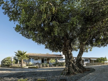 Casa Maya - Casa de férias in São Brás de Alportel, Algarve