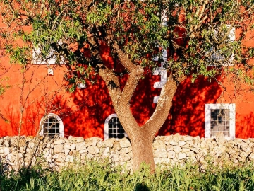 Masseria Cupina  - Casa de férias in Ostuni, Puglia