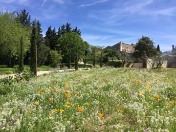 Domaine Les Martins - Hotel Rural in Gordes, Riviera Francesa e Provença