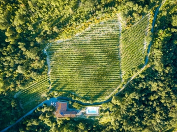 Villa San Lorenzo - Casa de férias in Bonvicino, Piemonte