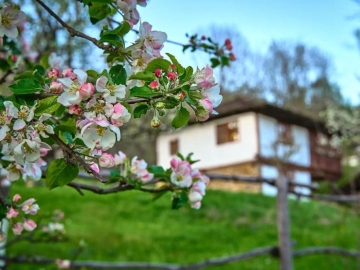 Karashka - Casa de férias in Selishte, Bulgária Central Norte