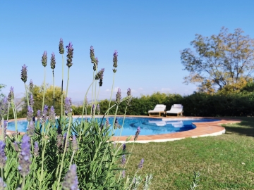 Roca Verde - Bed & Breakfast in Alhaurin de la Torre, Malaga