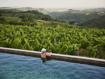 Peterc Vineyard Estate - Bed & Breakfast in Kojsko, Gorizia