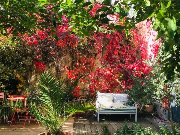 Domaine de Capiès - Casas de férias in Carcassonne, Languedoc-Roussillon