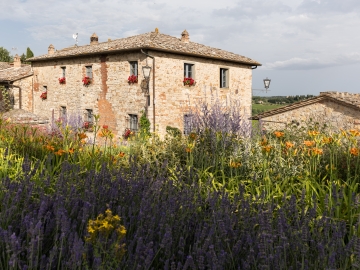 Argenina - B&B & Apartamentos in Gaiole in Chianti, Toscana