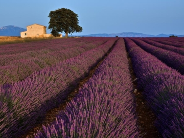 La Maison des Collines - Bed & Breakfast in Allemagne en Provence, Riviera Francesa e Provença