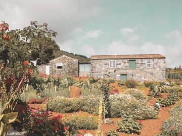 Adegas do Pico - Casitas com charme in S. Roque do Pico, Açores