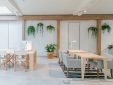 Margot House hotel Barcelona boutique design