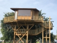 Authentic Tree House