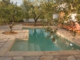 Our private pool for the guests, integrated in the olive grove