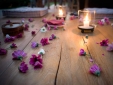 100% Fun hotel tarifa