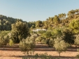 The Finca