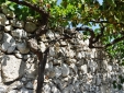 Masseria Uccio - Garden