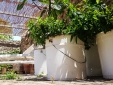 Masseria Uccio hotel b&b tricasa Apulia best small low budget boutique rural