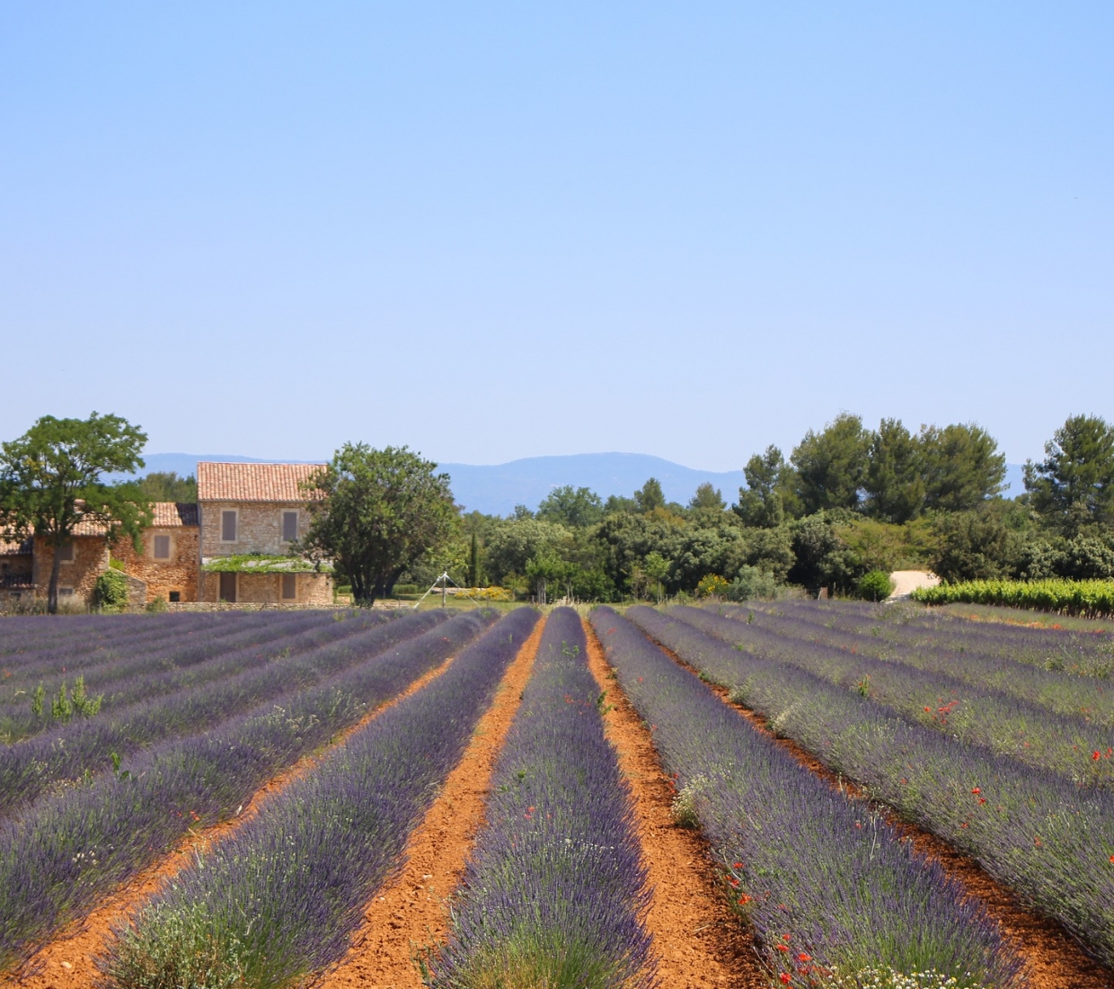 Hotéis de charme em Alpes de Haute Provence e hotéis rurais