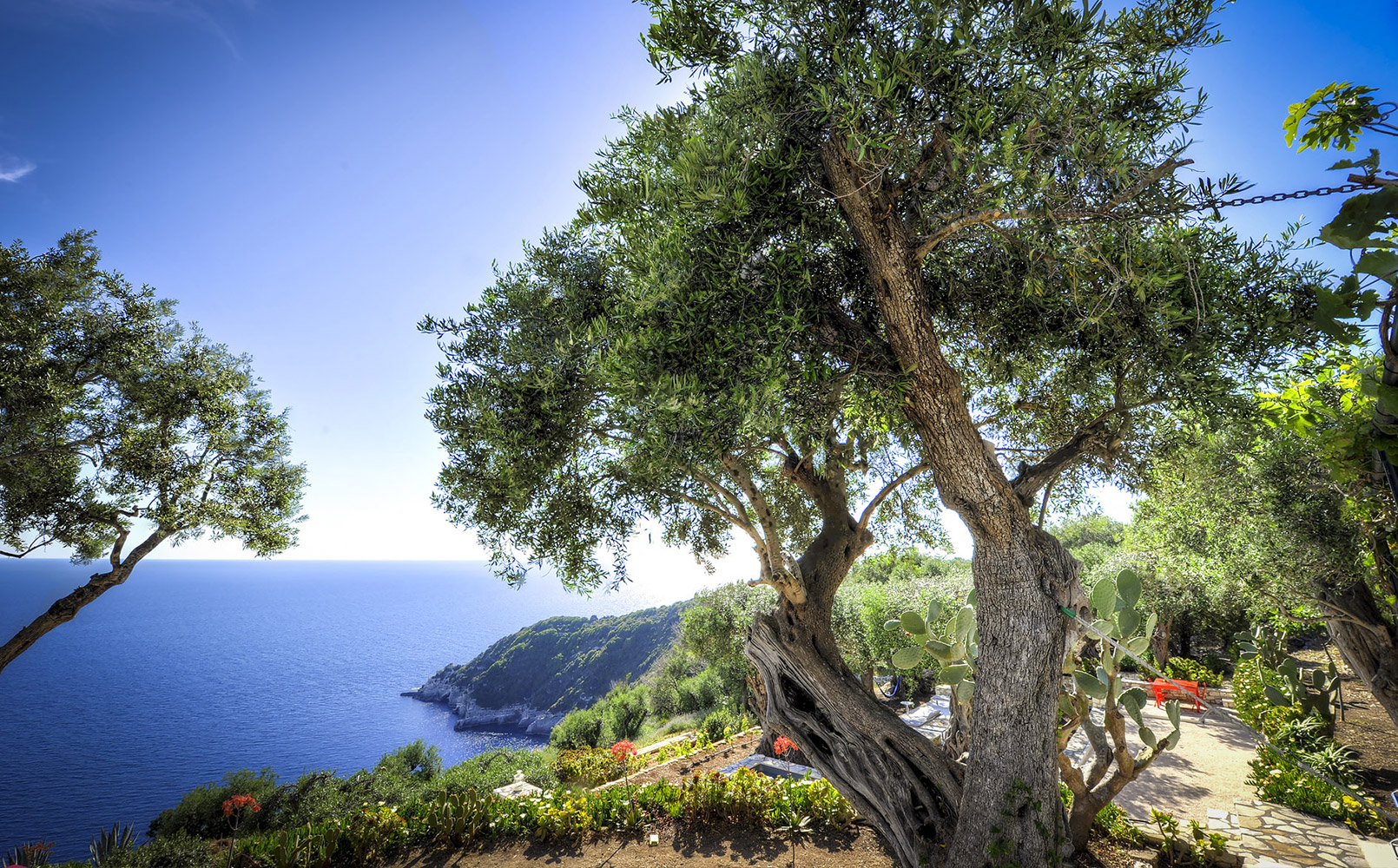 Seleção dos melhores e mais bonitos hotéis e casas de férias em Paxos