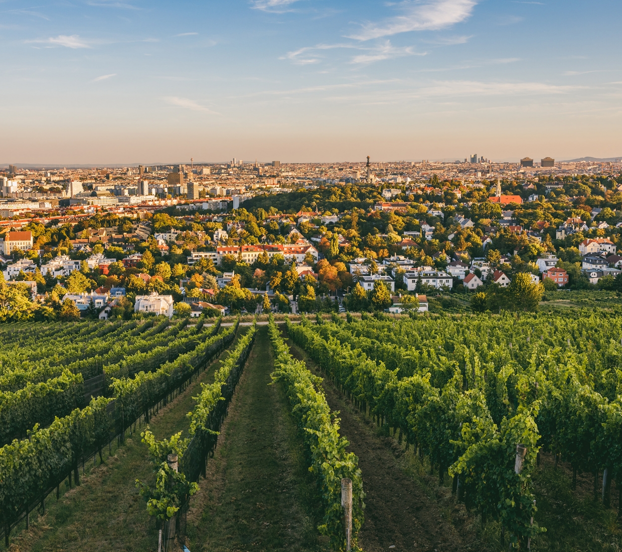 Seleção dos melhores e mais bonitos hotéis e casas de férias em Viena