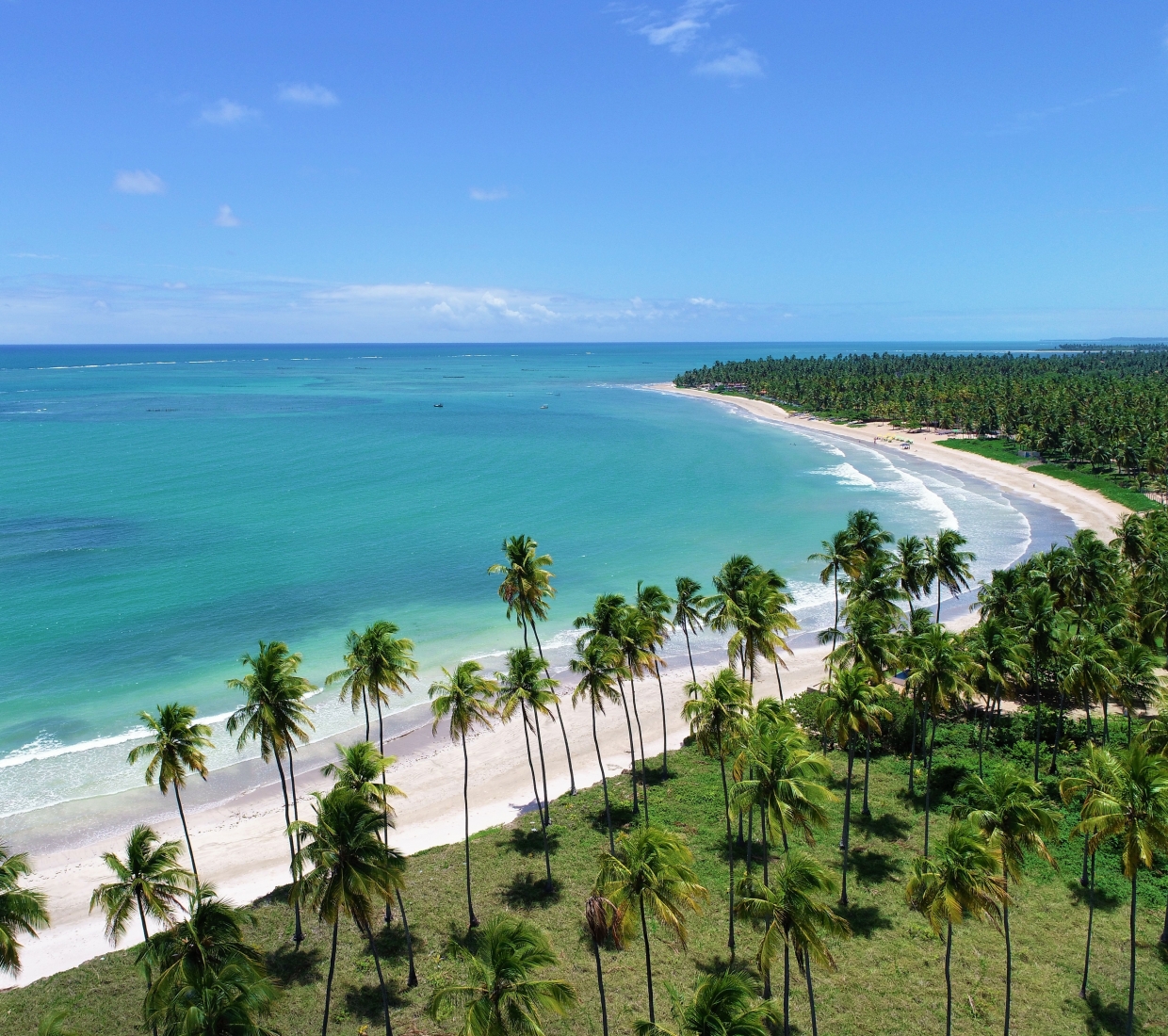 Seleção dos melhores e mais bonitos hotéis e casas de férias em Alagoas
