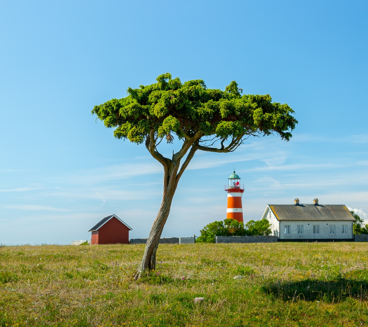 Seleção dos melhores e mais bonitos hotéis e casas de férias em South Sweden - Götaland