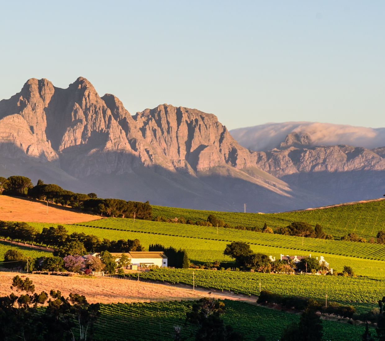 Hotéis boutique, hotéis de charme e turismo rural Cape Winelands