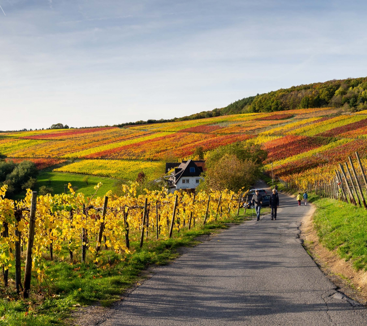 Hotéis boutique, hotéis de charme e turismo rural Rhineland-Palatinate