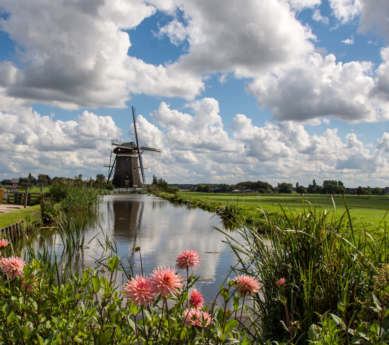 Seleção dos melhores e mais bonitos hotéis e casas de férias em South Holland