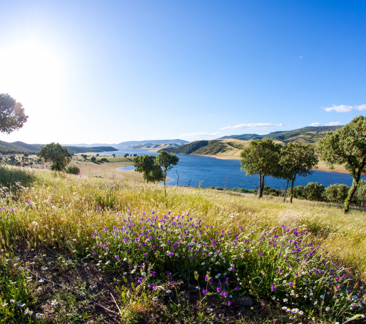 Seleção dos melhores e mais bonitos hotéis e casas de férias em Extremadura