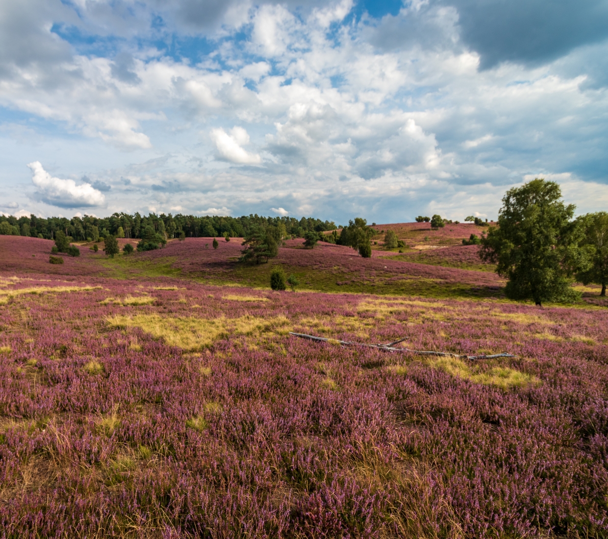 Hotéis boutique, hotéis de charme e turismo rural Niedersachsen