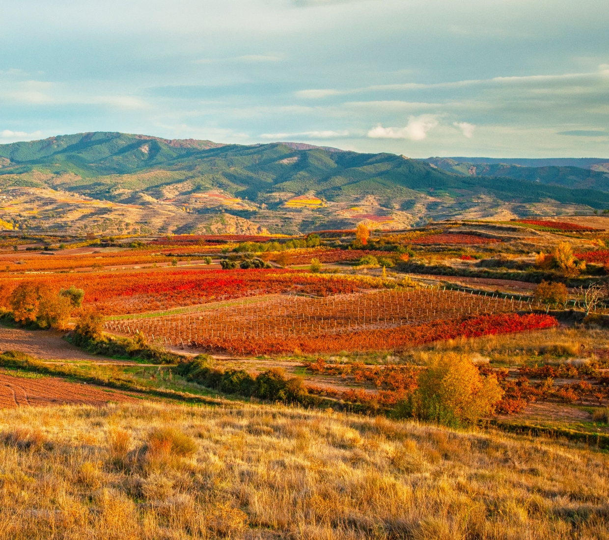 Hotéis boutique, hotéis de charme e turismo rural La Rioja