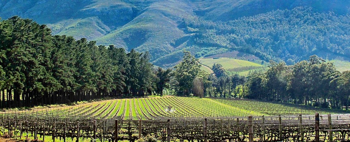 SELEÇÃO DE BOUTIQUE HOTELS EM Stellenbosch
