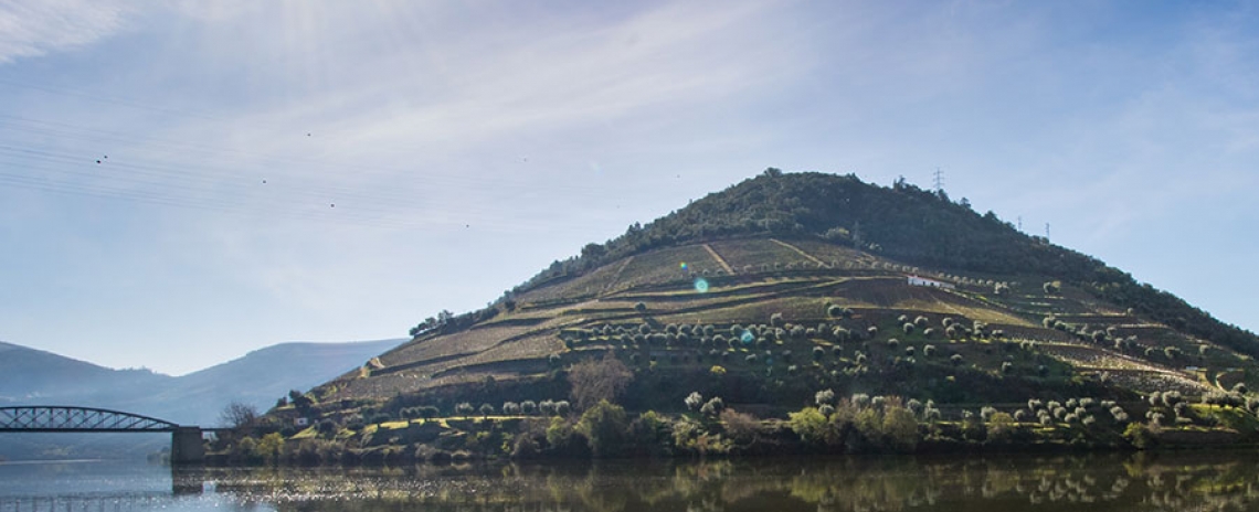 Hotéis boutique Viana do Castelo hotéis de luxo e apartamentos de férias