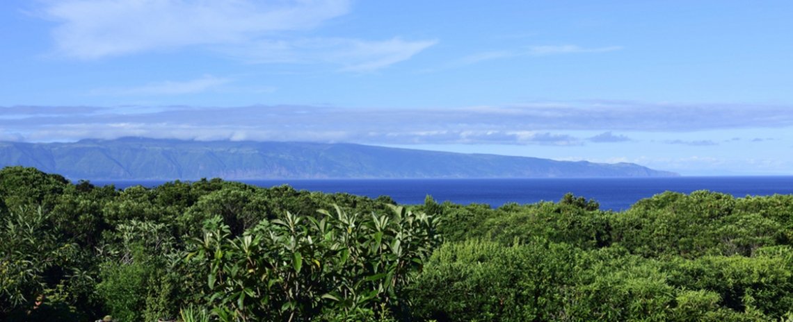 Seleção dos melhores e mais bonitos hotéis e casas de férias em Açores