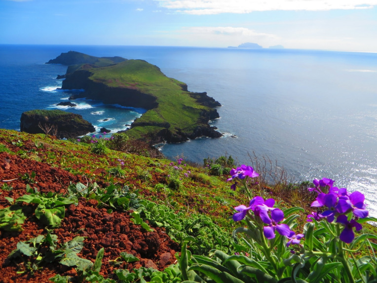 Colorful landscape and ocean view