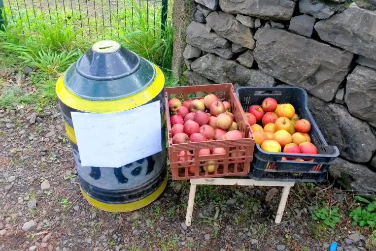 Fresh apples