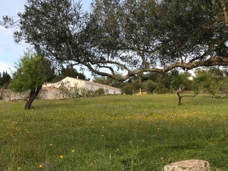 Pretty country house, O Monte