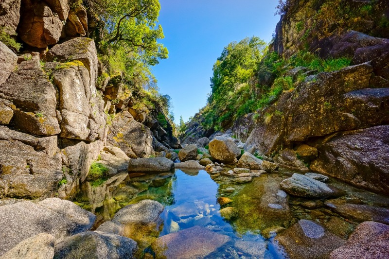 Nature view