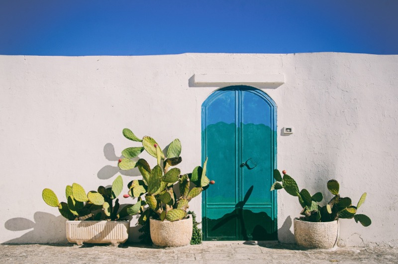Blue door with green plants