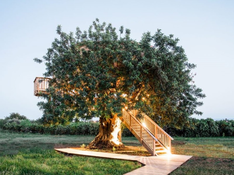 Treehouse Conversas de Alpendre, Algarve, Portgual