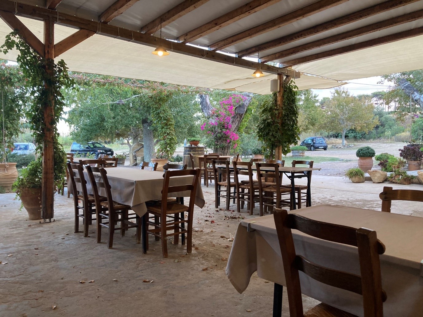 Taverna Skandeia