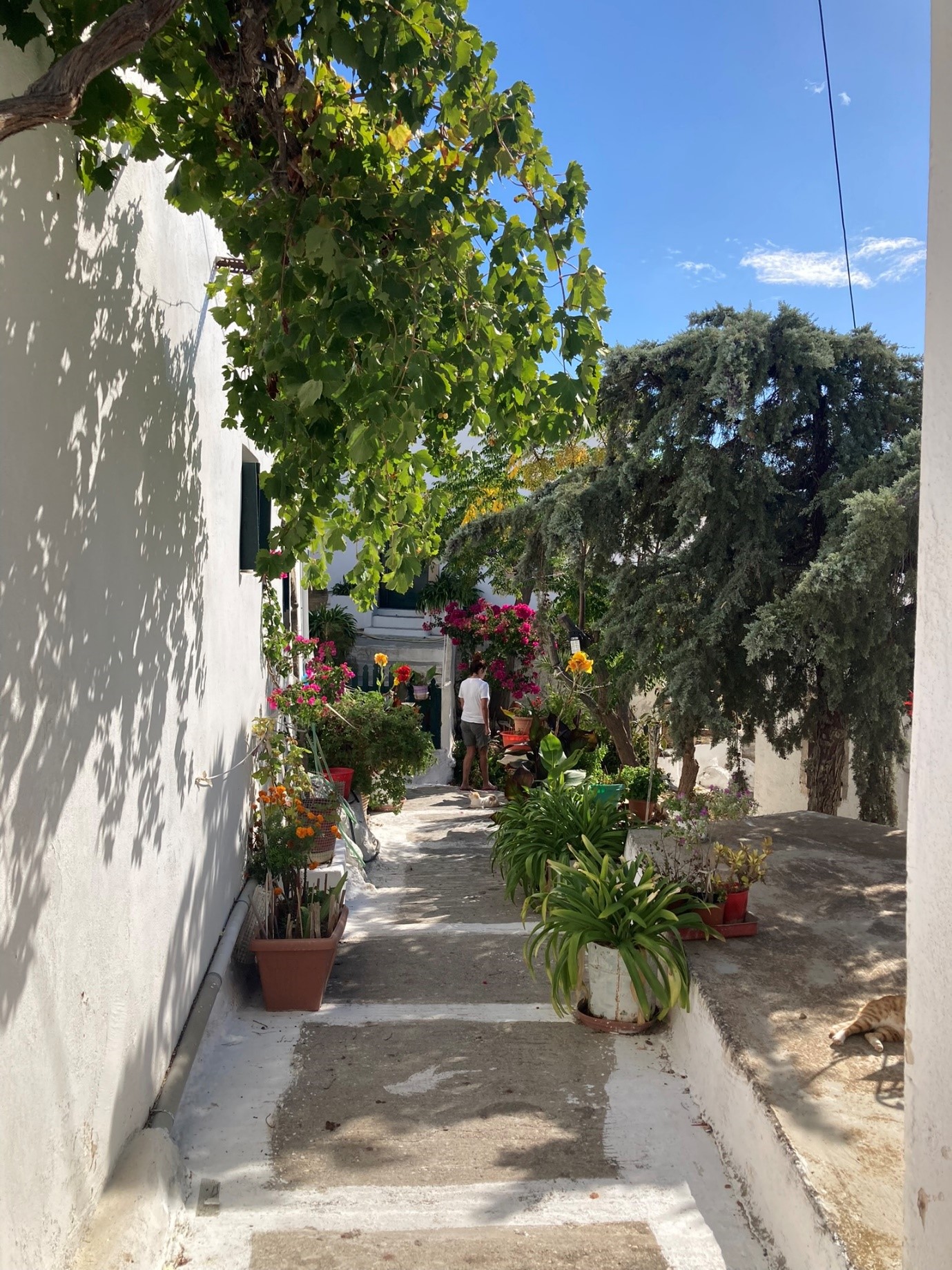 Street with colorful flowers in Chora, Kythira