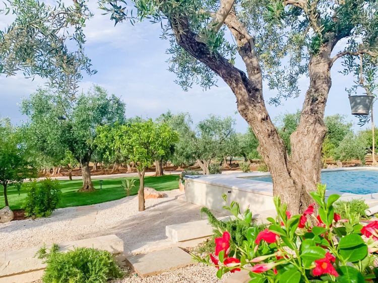 Garden view